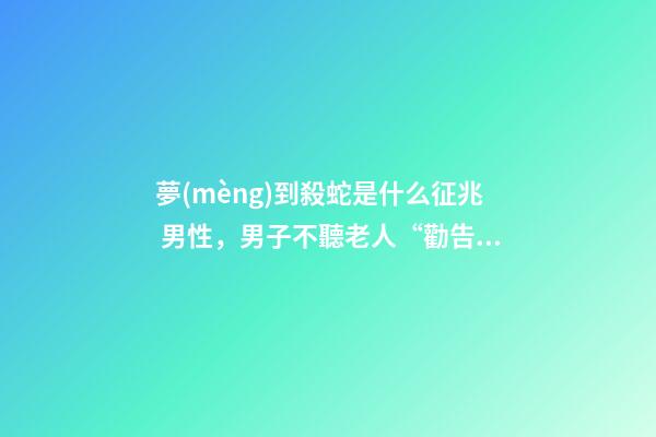 夢(mèng)到殺蛇是什么征兆 男性，男子不聽老人“勸告”執(zhí)意殺蛇-第1張-觀點(diǎn)-玄機(jī)派